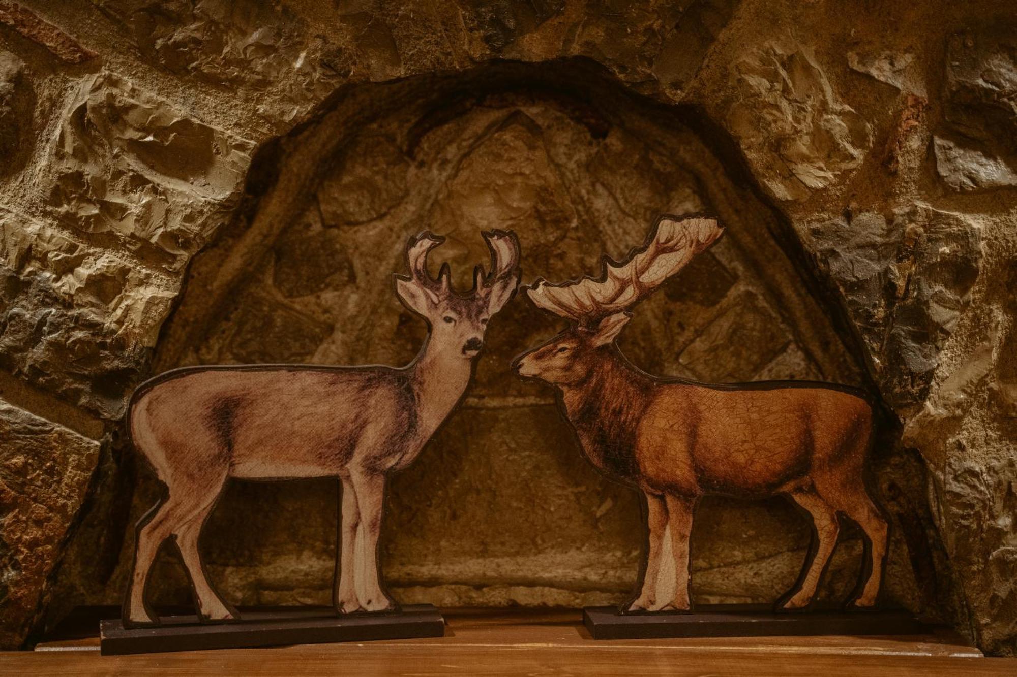Afanos Guesthouse Arachova Oda fotoğraf